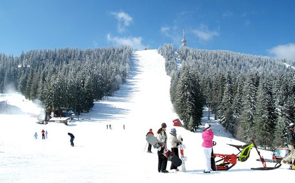 Sur-ron_snowbike_snowbikekit on surron_electric snowbike surron_8